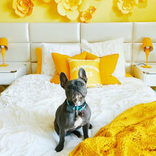 Load image into Gallery viewer, Adelaine Morin &#39;Girls Supporting Girls&#39; Pillow
